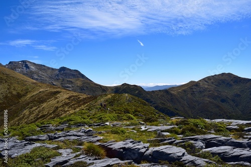 New Zealand Landscape
