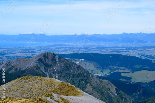 New Zealand Landscape