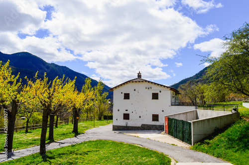 La naturaleza y animales en los pirineos de españa © fotomariusm