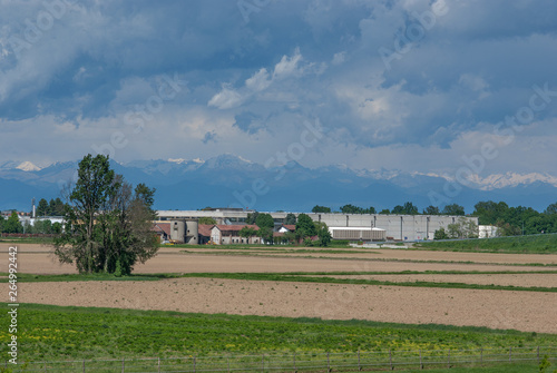 terreno agricolo seminato photo