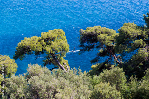 parga sea island blue among green pine trees greece