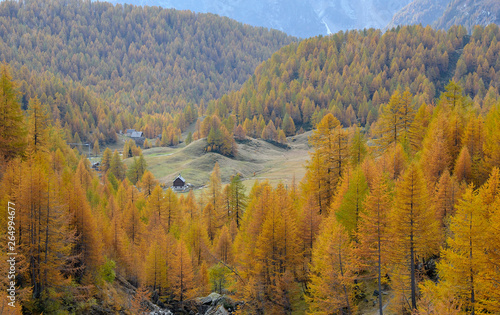 Autumn at Alpe Devero