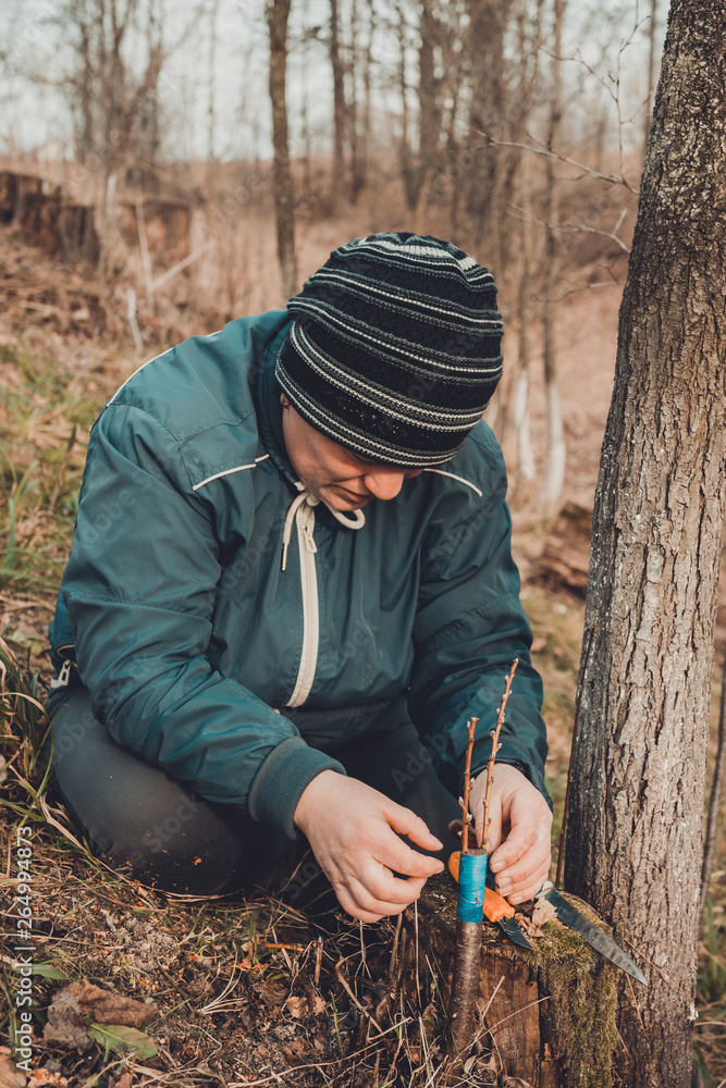 Woman wraps a graft tree with an insulating tape in the garden to detain the damp in it in close-up Woman wraps a graft tree with an insulating tape in the garden to detain the damp in it in close-up