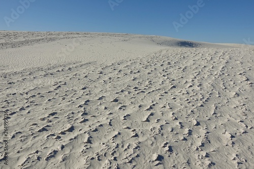 View of the White Sands National Monument with its gypsum sand dunes in the northern Chihuahuan Desert in New Mexico  United States