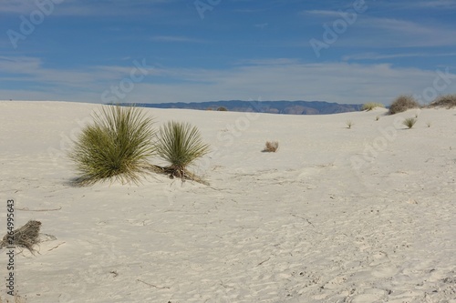 Fototapeta Naklejka Na Ścianę i Meble -  View of the White Sands National Monument with its gypsum sand dunes in the northern Chihuahuan Desert in New Mexico, United States