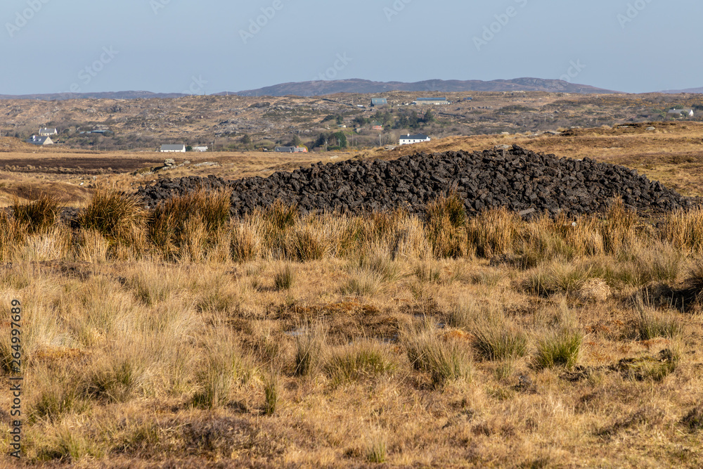 Turf in a Bog with vegetation and farm in background