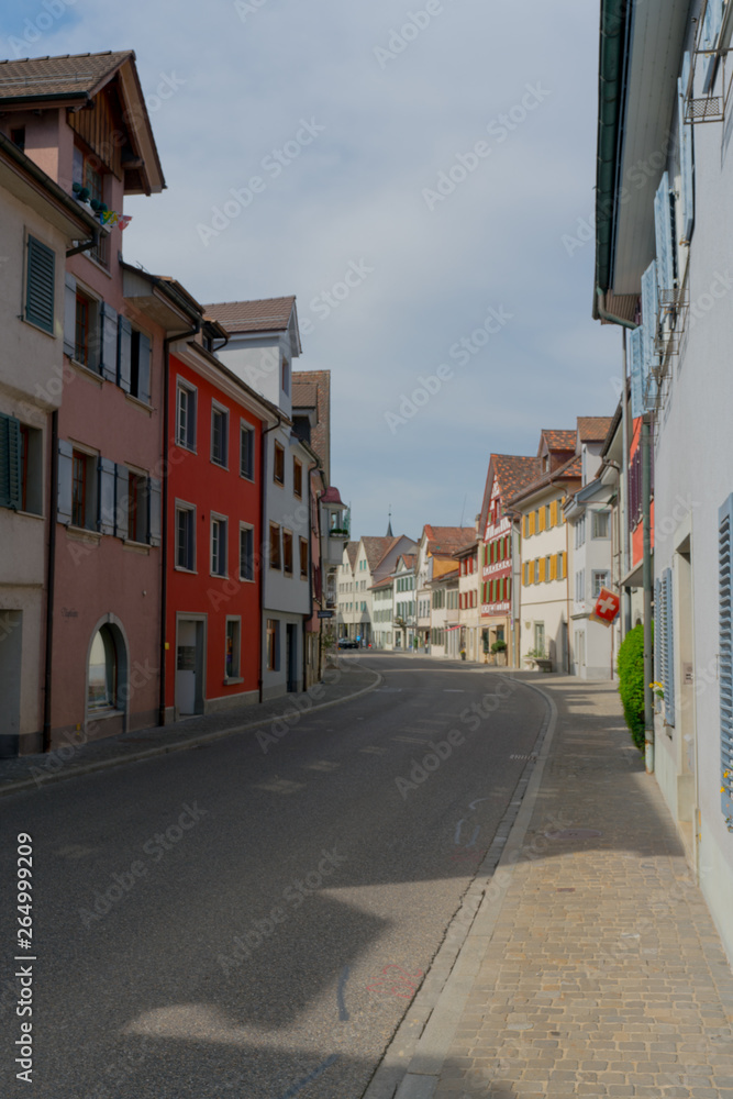  the historic village of Steckborn in  Switzerland with ist bourgeoisie buildings