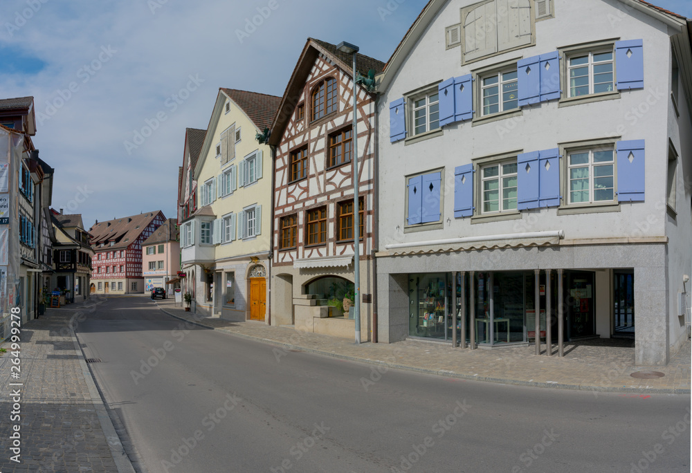 Fototapeta premium the historic village of Steckborn in Switzerland with ist bourgeoisie buildings
