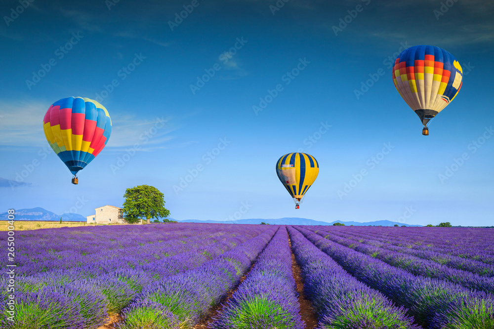 Admirable violet lavender fields and colorful hot air balloons, France - obrazy, fototapety, plakaty 