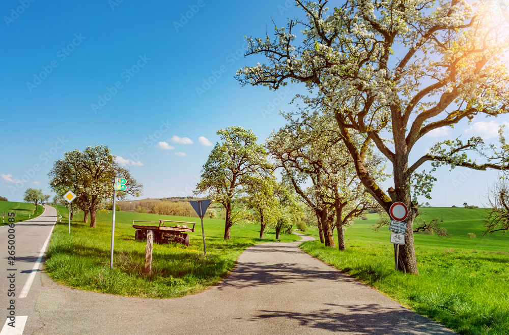Saarland – Radwanderweg bei Gisingen im Frühling Saarland – Radwanderweg bei Gisingen im Frühling