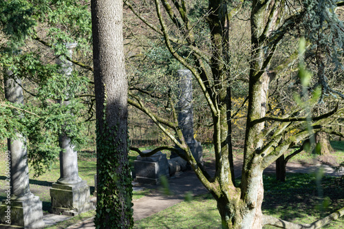 Spring sunshine over park path