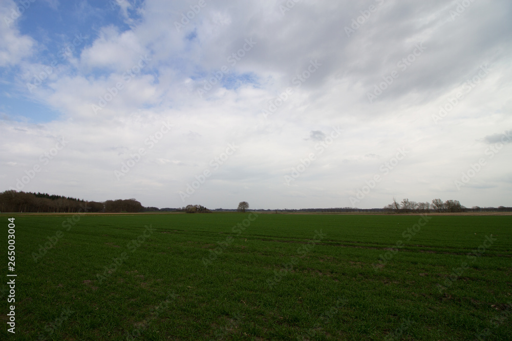 blick auf die landschaft unter bewölktem himmel in rhede ems emsland deutschland fotografiert draußen während eines spaziergangs an einem bewölkten tag blick auf die landschaft unter bewölktem himmel in rhede ems emsland deutschland fotografiert draußen während eines spaziergangs an einem bewölkten tag