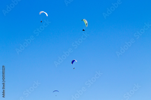 Paraglider on blue sky, Borso del Grappa, Italy