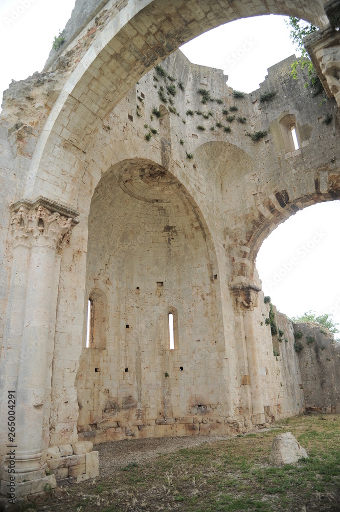 Benedictine San Bruzio Monastery ruins, Magliano in Toscana, Tuscany, Italy