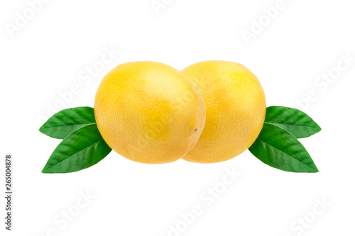 Creative layout made of lemon and leaves. Flat lay. Food concept. Lemon on white background.