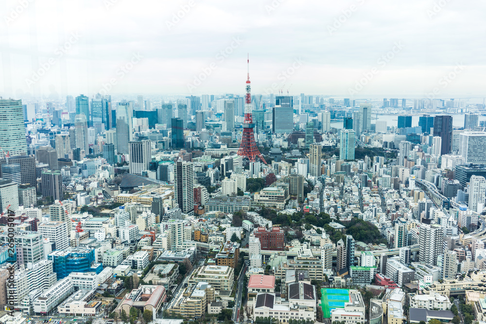Fototapeta premium wieża Tokyo
