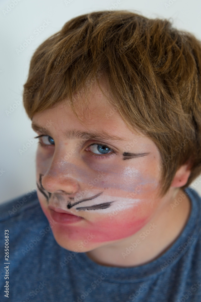 cat face paint boy