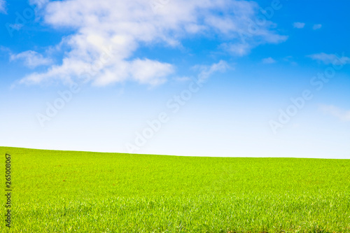 Typical Tuscan hill against a blue sky - image with copy space