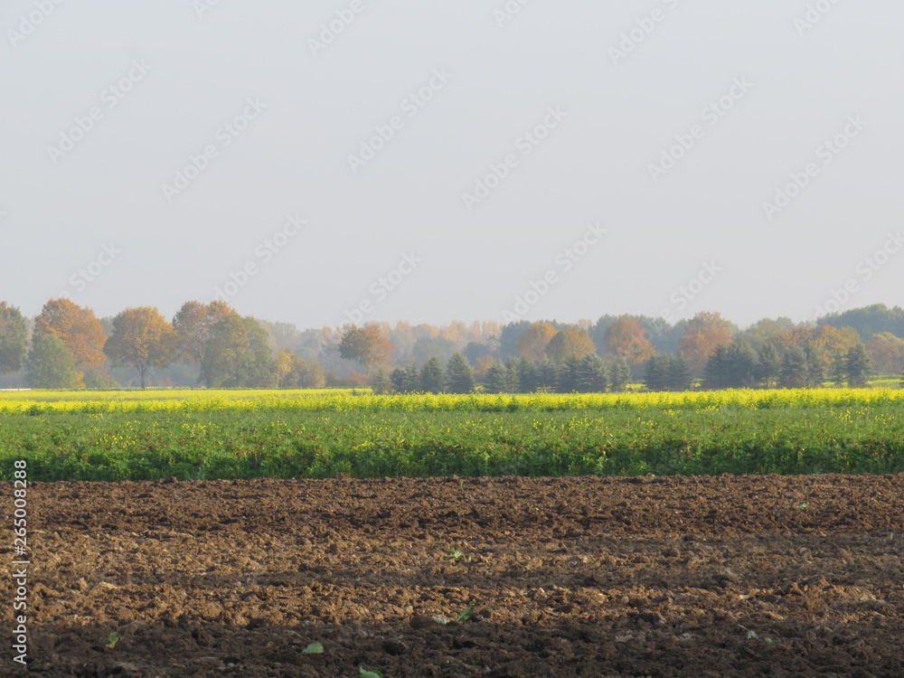 Herbst in Deutschland