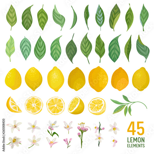 Set of watercolor elements of lemons, leaves and flowers for posters, summer vibrant banners, cover design templates, social media stories, spring wallpapers. Vector illustration
