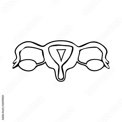 Pelvic organs black silhouette. Gynecology. Sketch. Linear icon. Vector illustration