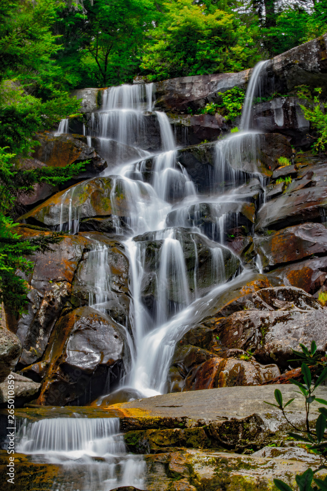Obraz premium waterfall in the forest