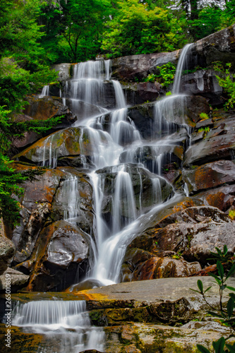 waterfall in the forest