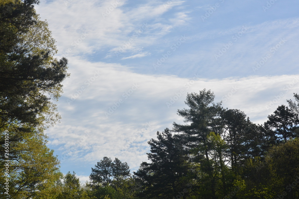 Clouds pass by