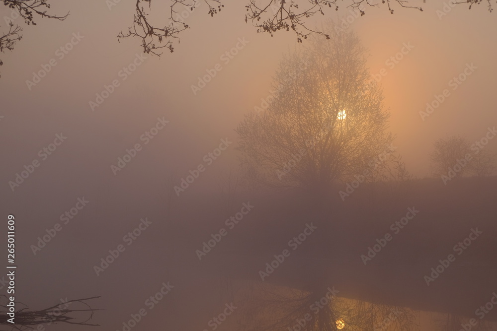 Obraz premium Awesome foggy morning
