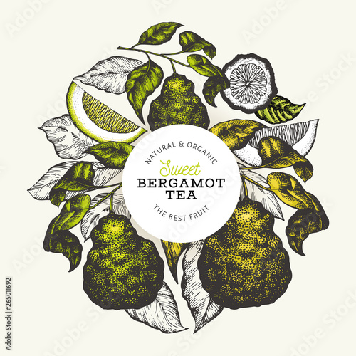 Bergamot branch design template. Kaffir lime logo. Hand drawn vector fruit illustration. Engraved style vintage citrus background.