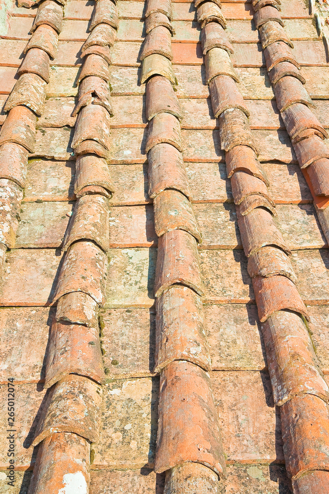 Old traditional tuscany terracotta roof covering (Tuscany - Italy)