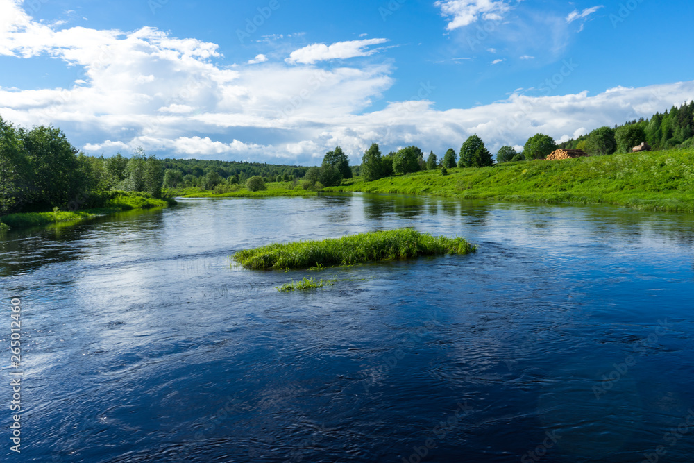 river in the field river in the field