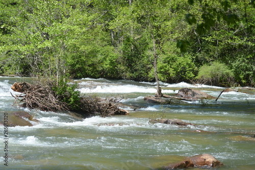 RApid waters, wilderness