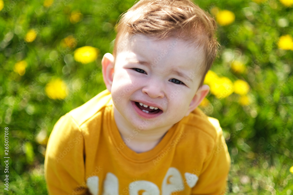 Little cute baby boy playing on the meadow full of common sow thistle - yellow flowers.. Little cute baby boy playing on the meadow full of common sow thistle - yellow flowers..