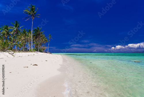 Fototapeta Naklejka Na Ścianę i Meble -  Philippines,  tropical sea background 1!