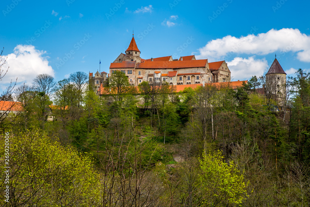 Fototapeta premium Pernstejn Castle stands in the woods on a high rock