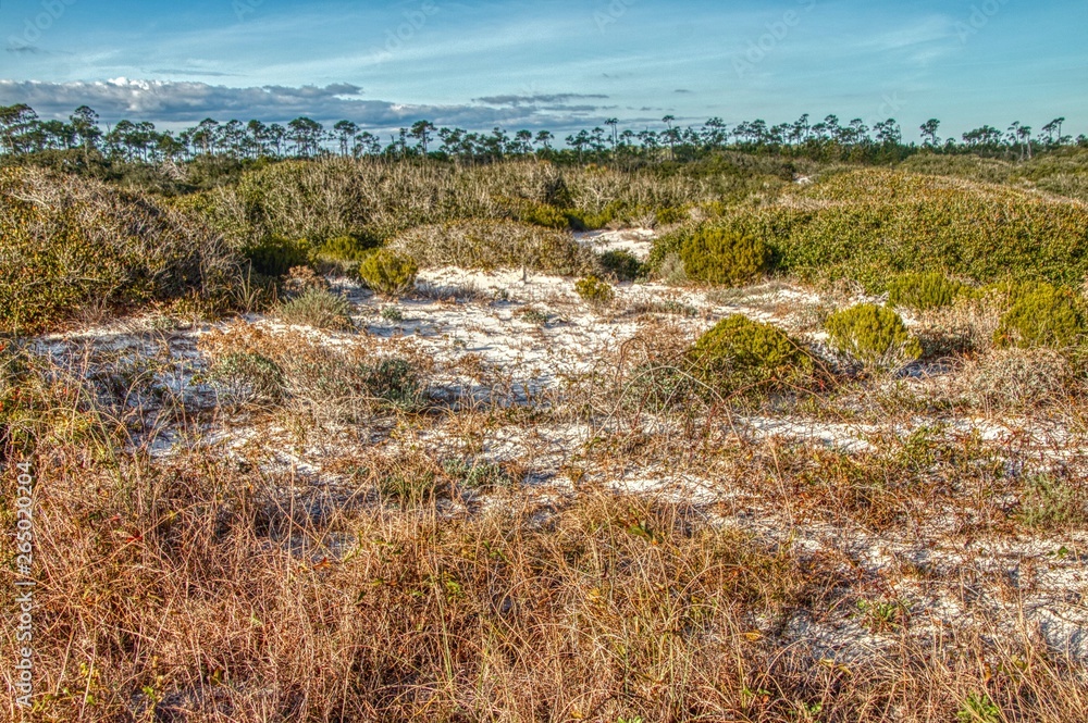 The Gulf Islands National Seashore is located in Florida and Mississippi The Gulf Islands National Seashore is located in Florida and Mississippi