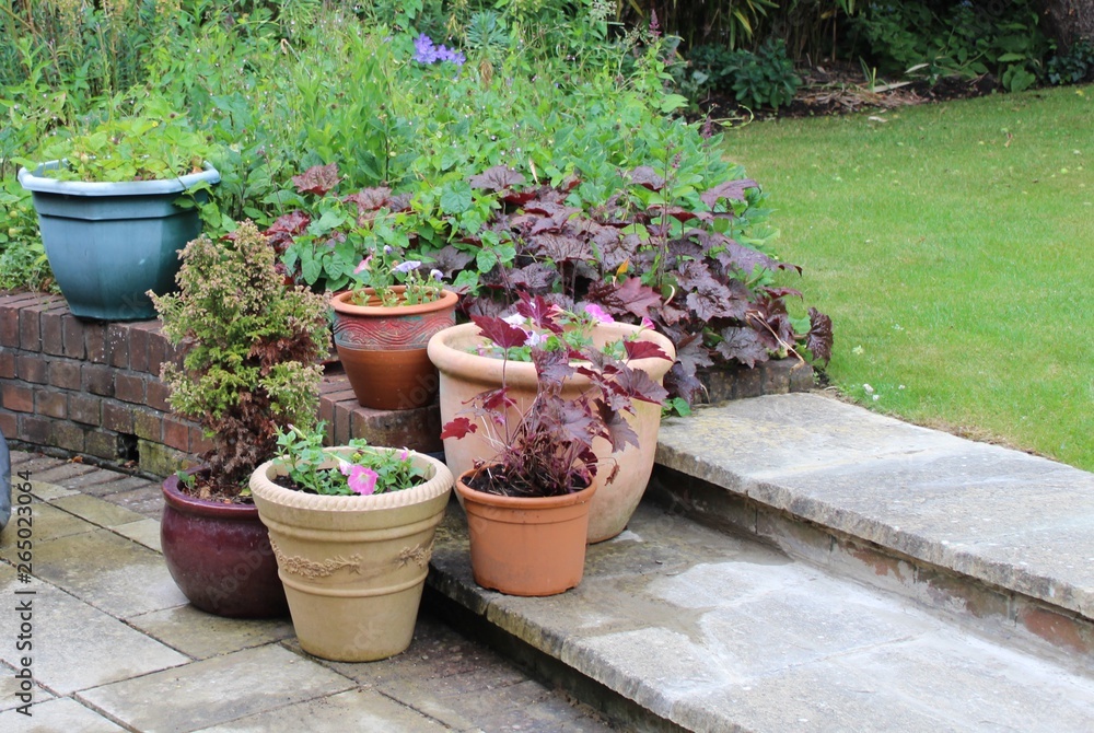 Group of planters on garden step with lawn in background