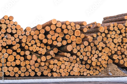 Wood on the snow. Warehouse logs on a white background. Lumber of pines.
