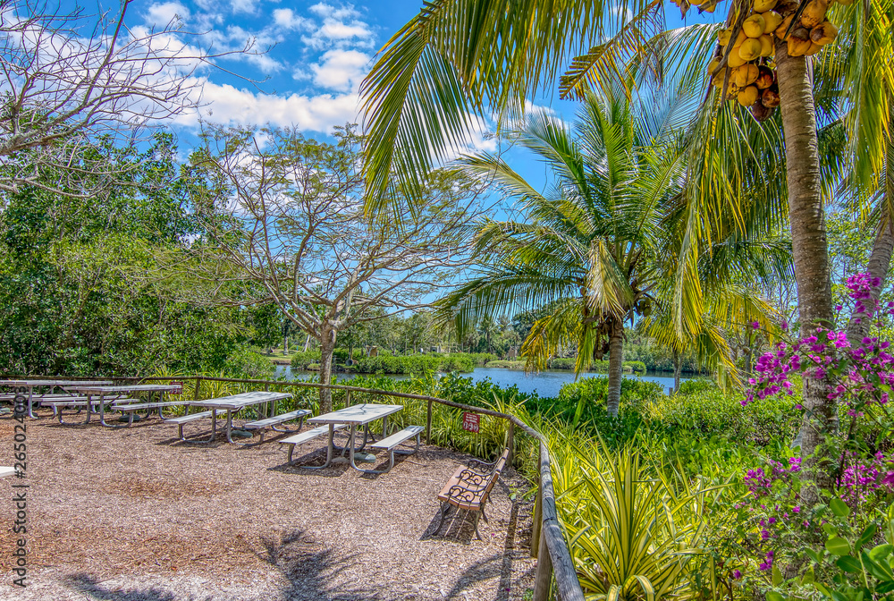 Obraz premium zooing it