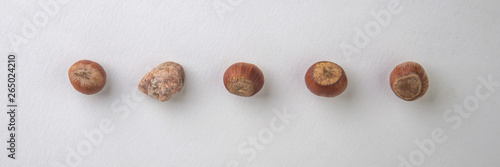 concept: a trap for online shoppers, a stone lies in a row of hazelnuts photo