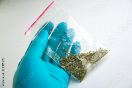 synthetic marijuana: laboratory technician holds samples of narcotic herbal medicines in hand