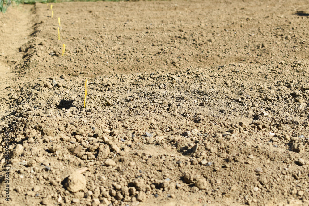 Sunny garden soil at angle with yellow plant markings Sunny garden soil at angle with yellow plant markings