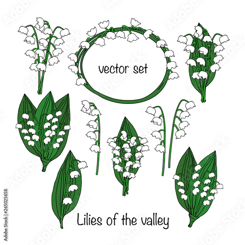 Lilies of the valley vector set