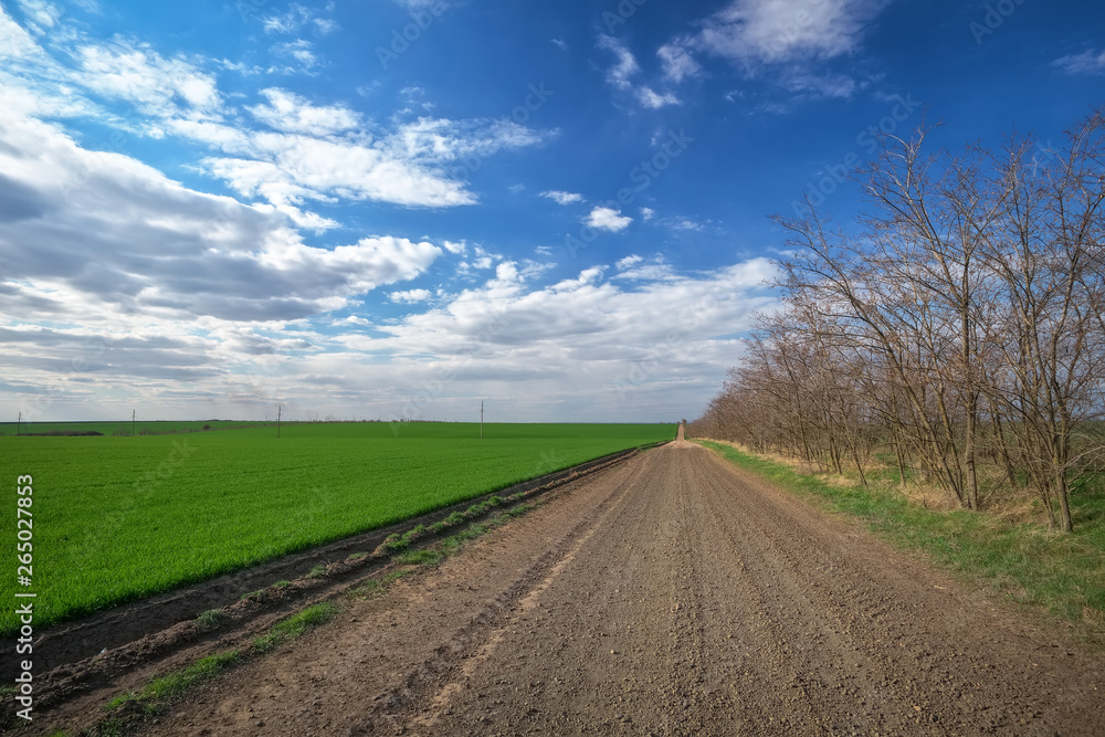 Spring landscape with the road, trees and green field. Blue cloudy sky