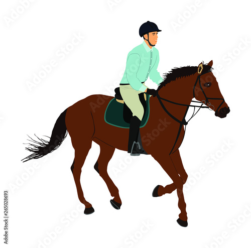 Elegant racing horse in gallop vector illustration isolated on white background. Jockey riding horse in race. Hippodrome sport event. Entertainment and gambling. Derby betting for champion.