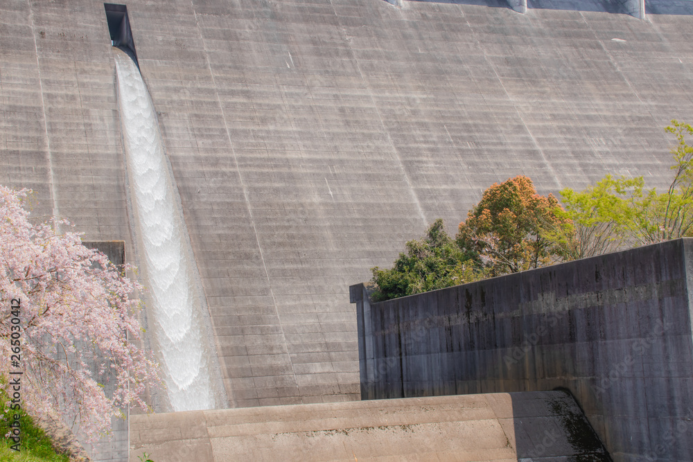 横竹ダムと桜（御衣黄桜）Yokotake dam and sakura　佐賀県嬉野市