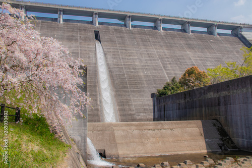 Wallpaper Mural 横竹ダムと桜（御衣黄桜）Yokotake dam and sakura　佐賀県嬉野市 Torontodigital.ca