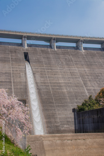 横竹ダムと桜（御衣黄桜）Yokotake dam and sakura 佐賀県嬉野市