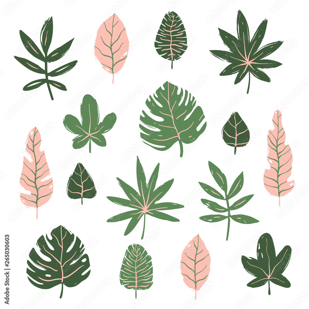 Set of tropical leaves. Hand drawn vector elements